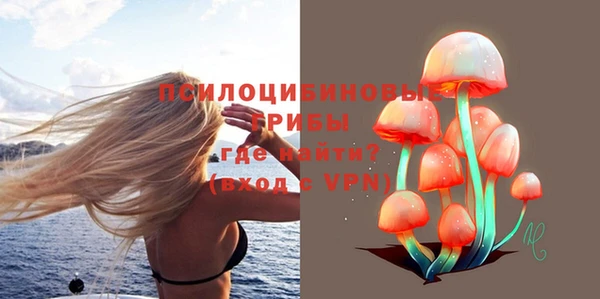 гидра Краснослободск