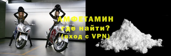 гидра Краснослободск