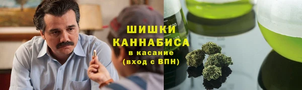 гидра Краснослободск