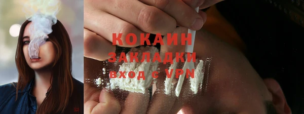 гидра Краснослободск