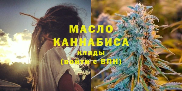 гидра Краснослободск