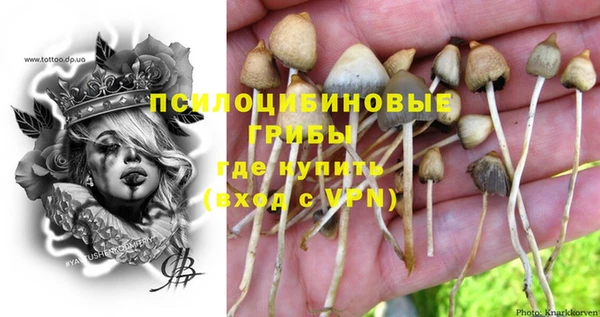 не бодяженный Краснотурьинск