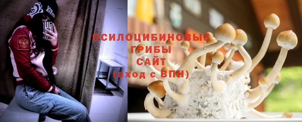 не бодяженный Краснотурьинск
